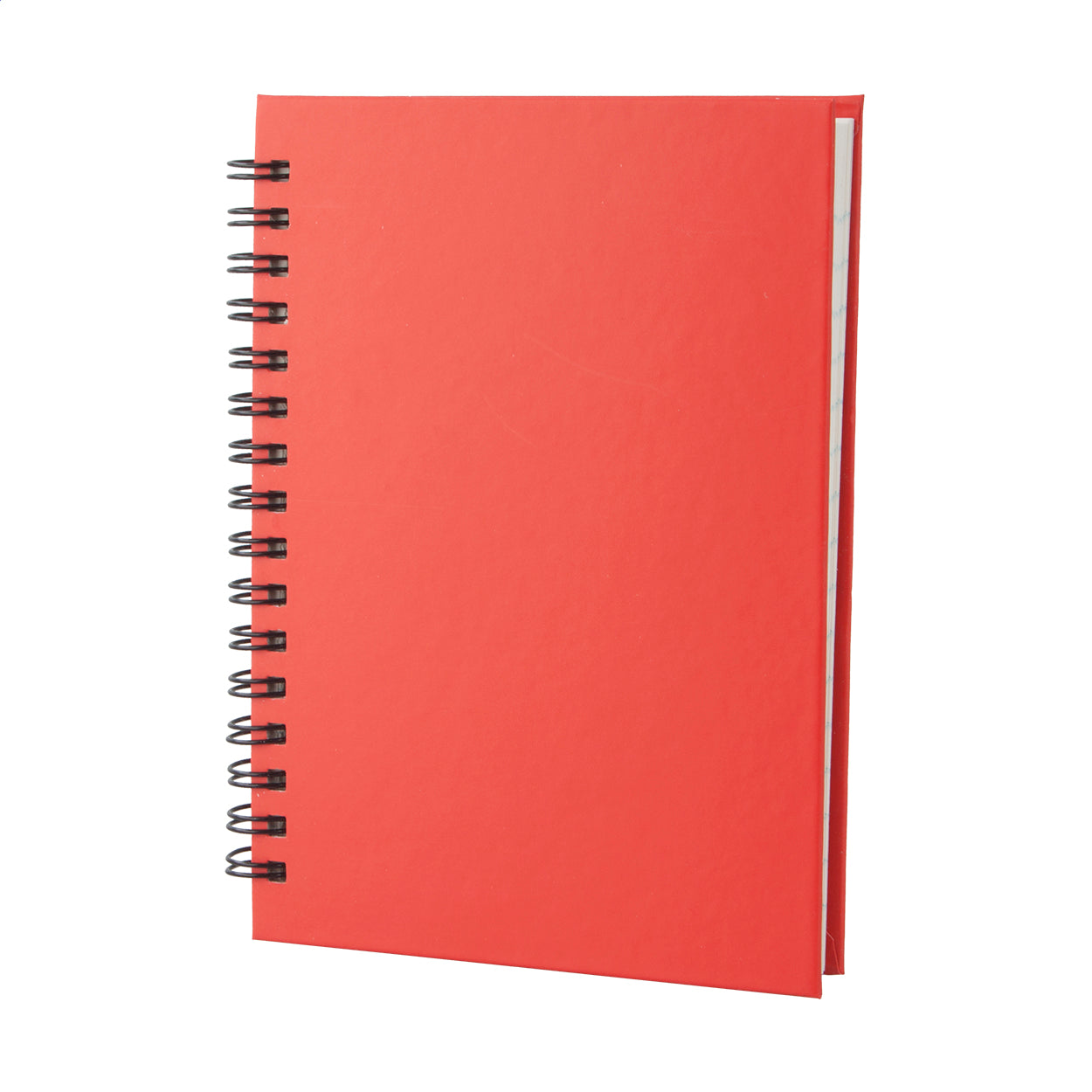 Cedrus A6 Quaderno