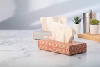 CreaSneeze Eco Scatola dispenser personalizzabile per fazzolettini
