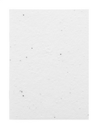 CreaNote A6 Seed quaderno di carta con semi personalizzato