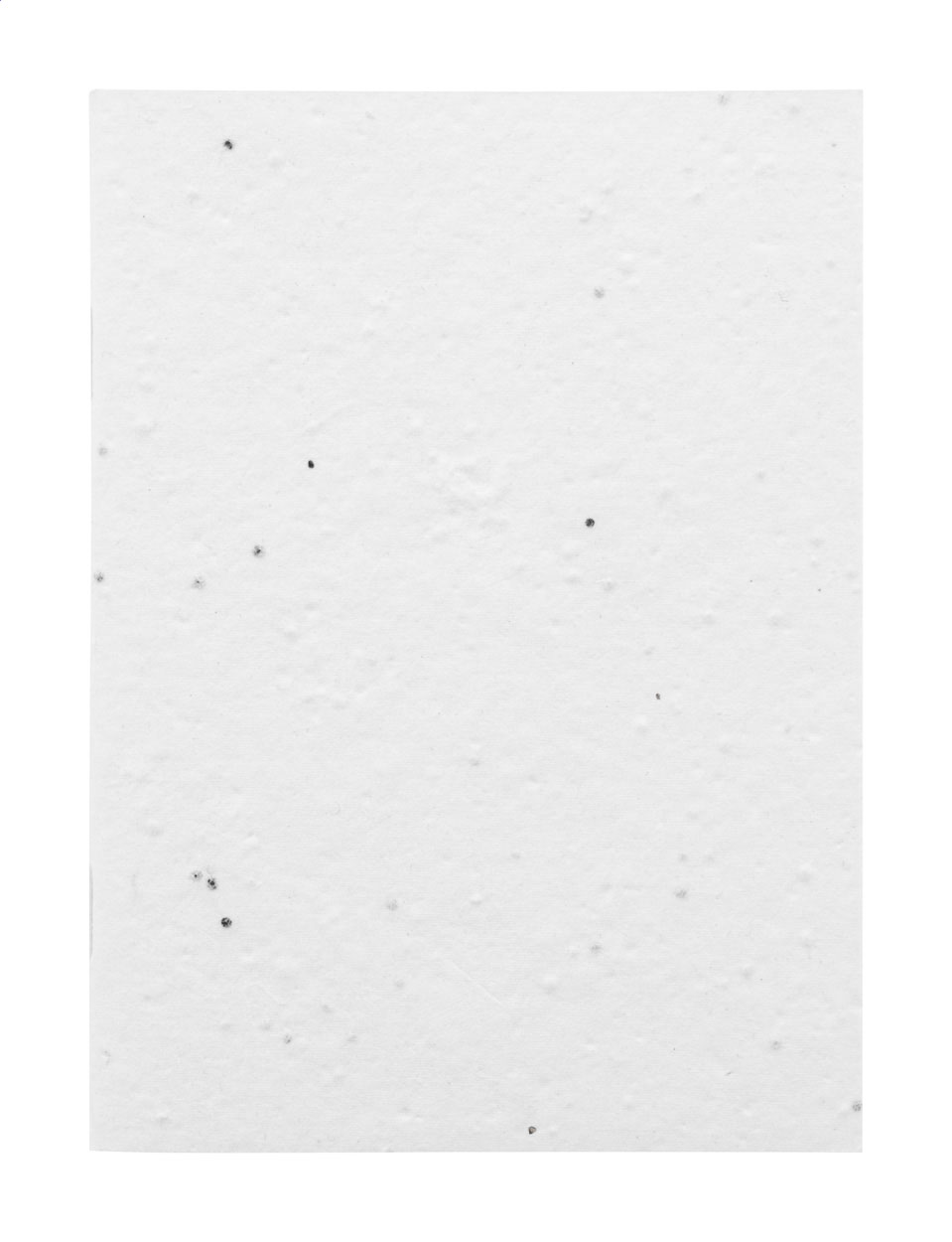 CreaNote A6 Seed quaderno di carta con semi personalizzato