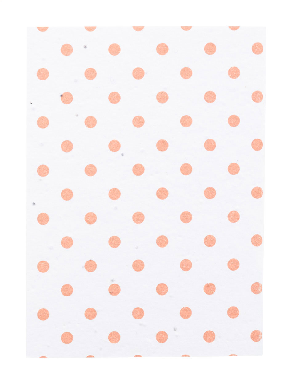 CreaNote A6 Seed quaderno di carta con semi personalizzato