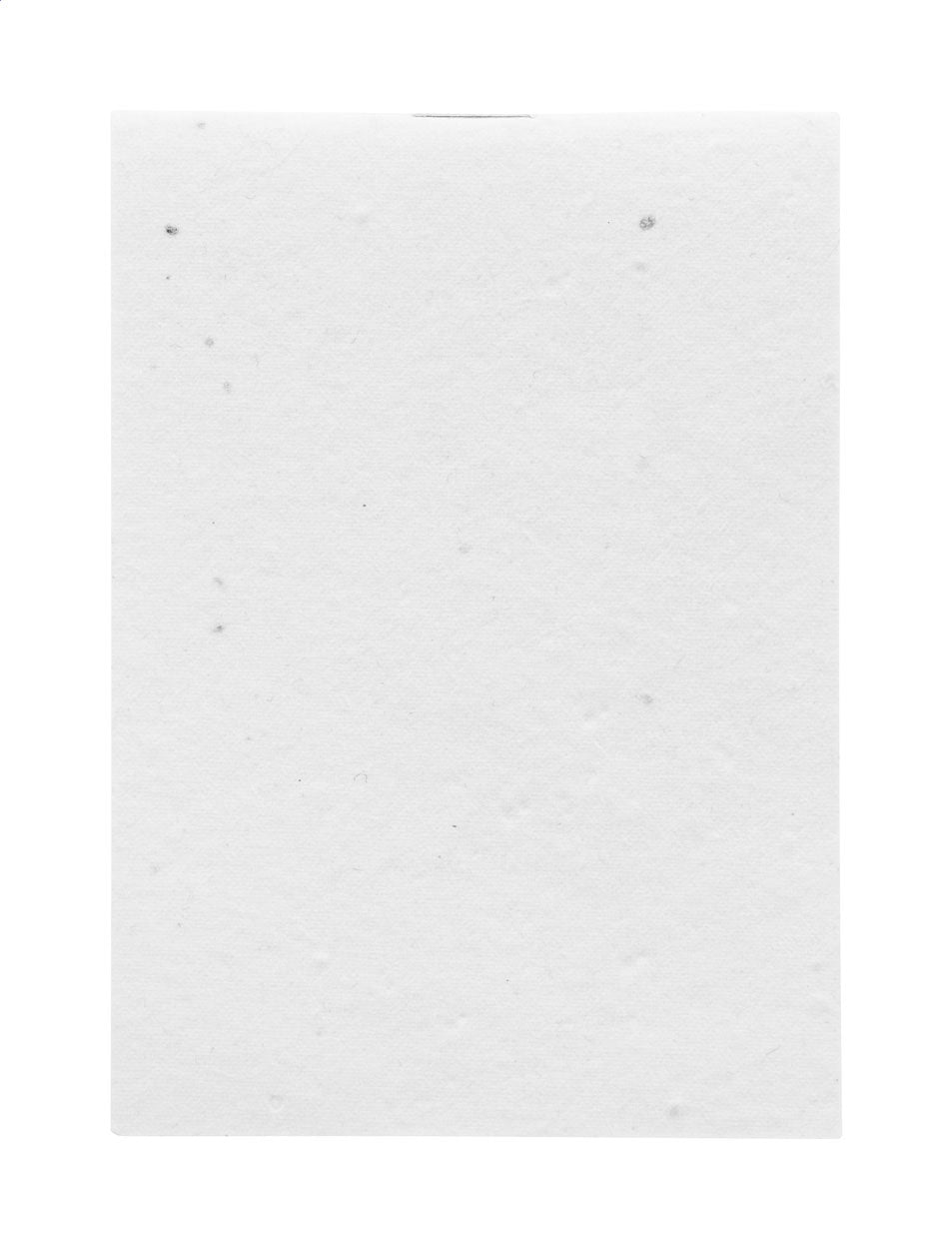 CreaNote Mini Seed quaderno di carta con semi personalizzato