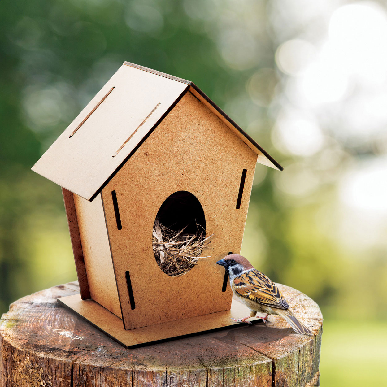 Tomtit casetta per uccelli
