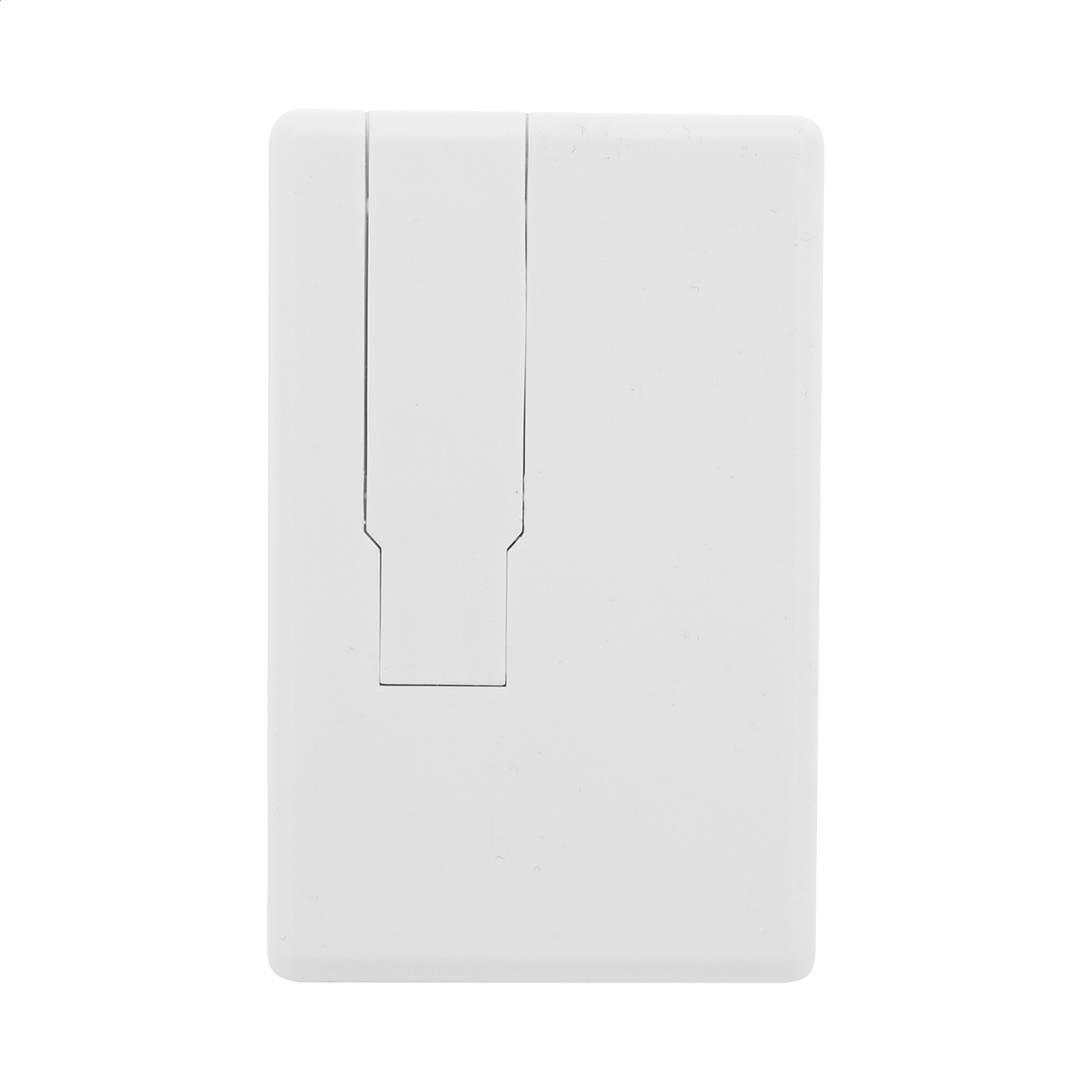 Rabax Chiavetta USB in RABS