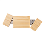 Botgus Chiavetta USB OTG